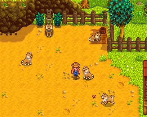 Unleash your inner canine companion in Stardew Valley: A guide to dogs and their benefits